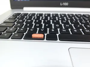 Aplikacja do rozpoznawania roślin – jak wybrać najlepszą?