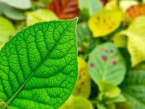 Jak podłączyć słuchawki bezprzewodowe do laptopa: prosty przewodnik